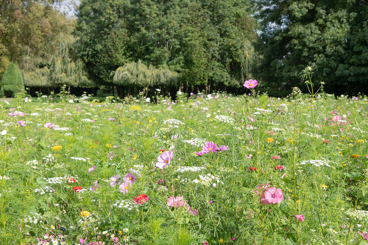 Sustainable events in Nottingham.